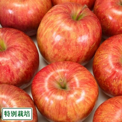 りんご 昴林 A品 5kg 特別栽培 (青森県 阿部農園) 産地直送