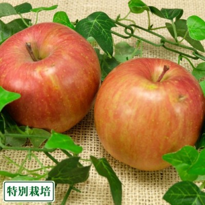 【訳あり】 りんご 昴林 5kg 特別栽培 (青森県 阿部農園) 産地直送
