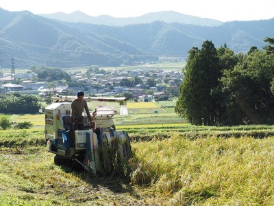 【令和5年度産】有機コシヒカリ 玄米 20kg 有機JAS (福井県 米農房そまねこ) 産地直送