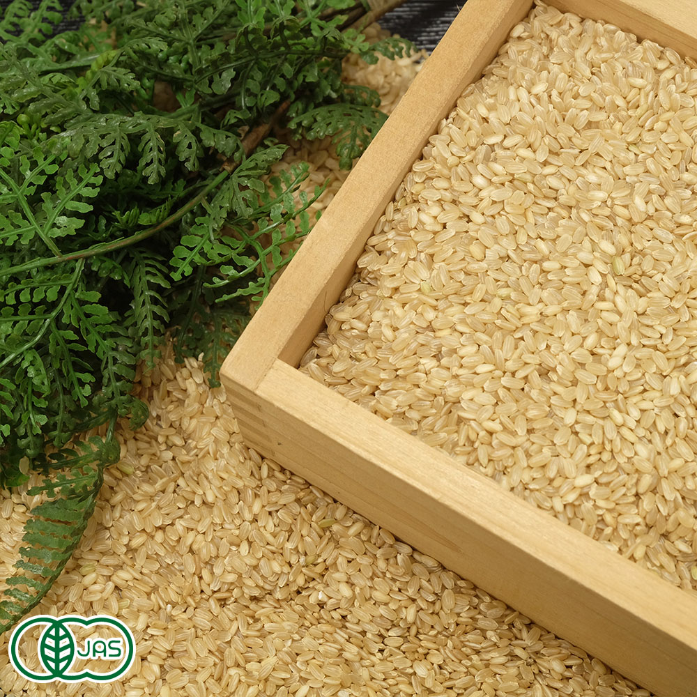 完全無農薬/植物発酵肥料コシヒカリ 玄米10kg