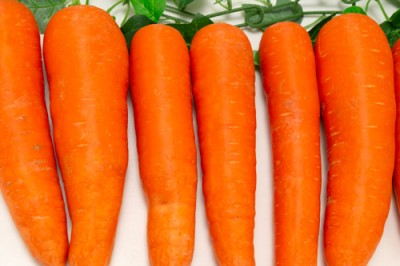 有機 北海道にんじん(洗い) A品 10kg 有機JAS (北海道 斎藤農場) 産地直送