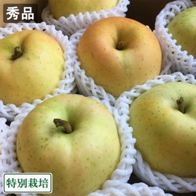 【ポイント3倍・A品】とき 10kg 特別栽培 (青森県 阿部農園) りんご 産地直送