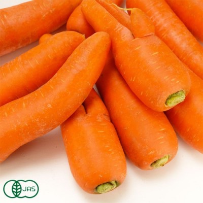 【セール・B品・訳あり】有機北海道にんじん(洗い) 10kg 有機JAS (北海道 斎藤農場) 産地直送