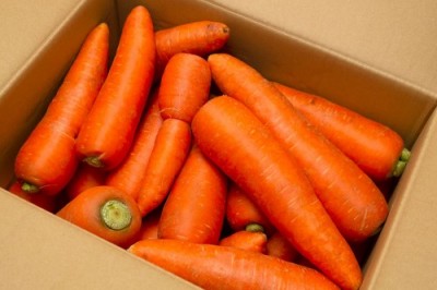 【セール・B品・訳あり】有機北海道にんじん(洗い) 20kg 有機JAS (北海道 斎藤農場) 産地直送