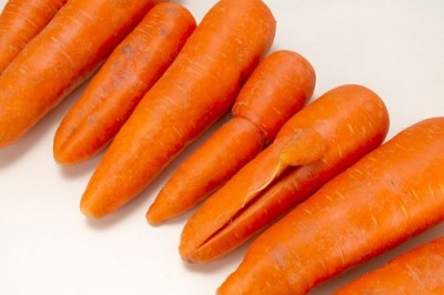 【セール・B品・訳あり】有機北海道にんじん(洗い) 20kg 有機JAS (北海道 斎藤農場) 産地直送