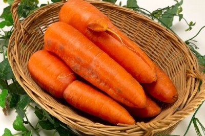 【セール・B品・訳あり】有機北海道にんじん(洗い) 20kg 有機JAS (北海道 斎藤農場) 産地直送