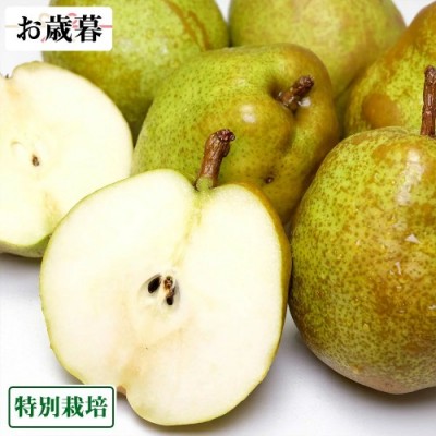 【お歳暮専用】ラ・フランス 贈答用約2kg 特別栽培 (山形県産 森谷果樹園) 産地直送