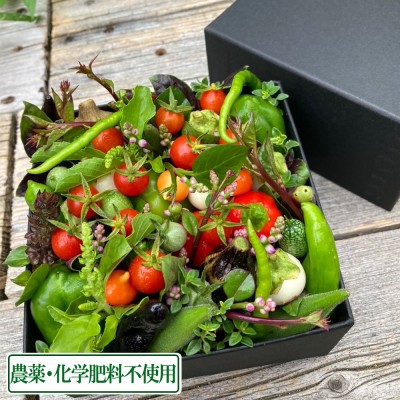 【ポイント3倍】ベジタブルアレンジメント ボックスタイプ(オリーブオイル・別添え野菜付き)  (兵庫県 ファーマーズヤード) 農薬・化学肥料不使用 産地直送