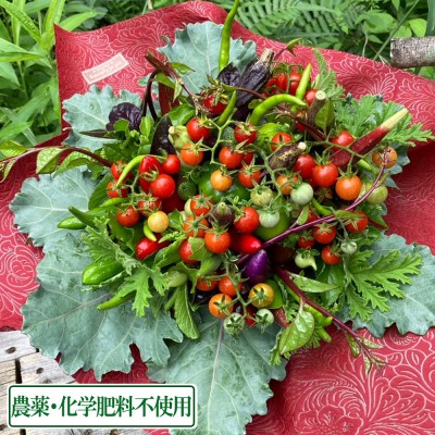 【ポイント3倍】ベジタブルアレンジメント ブーケタイプ(オリーブオイル・別添え野菜付き)  (兵庫県 ファーマーズヤード) 農薬・化学肥料不使用 産地直送