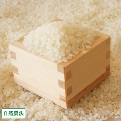 【令和4年度産】 コシヒカリ　白米・玄米 5kg 自然農法 (山形県 佐藤農園) 産地直送