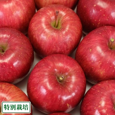 ふじ 秀品 3kg箱 特別栽培 (青森県 田村りんご農園) 産地直送
