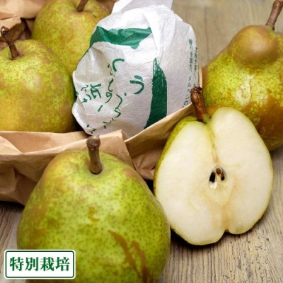 特選ラ・フランス　贈答用大玉4～5Lサイズ 約3kg 特別栽培 (山形県産 森谷果樹園) 産地直送
