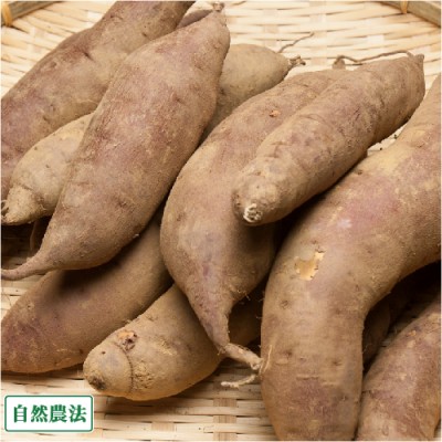 【AB品サイズ混合】さつまいも 紅あずま 3kg 自然農法 (青森県 アグリメイト南郷) 産地直送