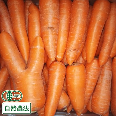 【S～2Sサイズ】有機 にんじん (洗い) 10kg 有機JAS・自然農法 (青森県 南風農園) 産地直送