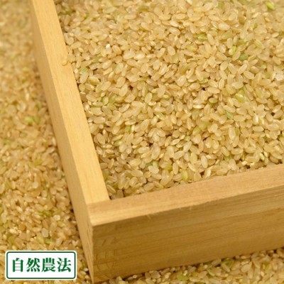 【令和3年度産米】まっしぐら 玄米 5kg 自然農法 (青森県 谷川幸雄) 産地直送