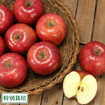 弘前ふじ　小玉A品5kg箱 特別栽培 (青森県 田村りんご農園) 産地直送