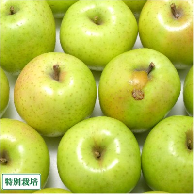 【訳あり】 りんご 王林 5kg箱 特別栽培 (青森県 阿部農園) 産地直送