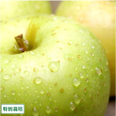 りんご 王林 A品 5kg箱 特別栽培 (青森県 阿部農園) 産地直送