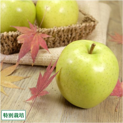 りんご 王林 秀品 5kg箱 特別栽培 (青森県 阿部農園) 産地直送