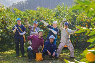 【期間限定】有機ゆず 木頭柚子玉 5kg 有機JAS (徳島県 きとうむら) 産地直送