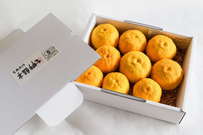 【期間限定】有機ゆず 木頭柚子玉 5kg 有機JAS (徳島県 きとうむら) 産地直送