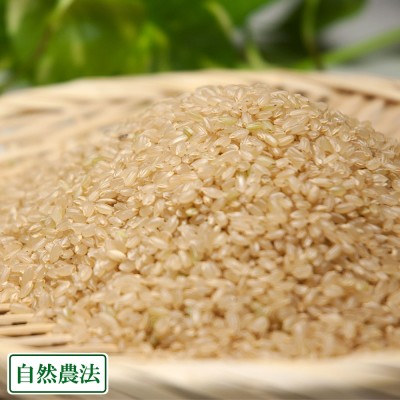 【令和5年度産】[お試し米]清正 玄米 3kg 自然農法 (熊本県 那須自然農園) 産地直送