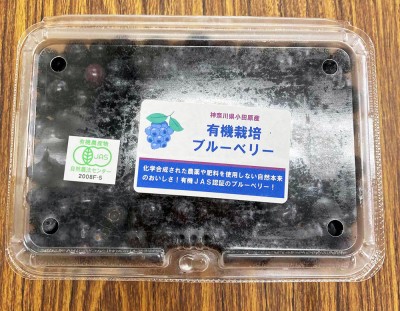 【クール冷凍便】 冷凍ブルーベリー(加工用) 500g×4パック 有機JAS (神奈川県小田原 広石農園)