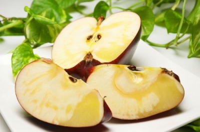 おいらせ A品 5kg箱 特別栽培 (青森県 田村りんご農園) 産地直送