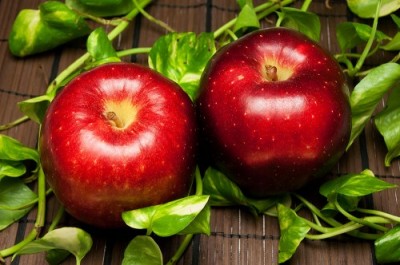 おいらせ A品 5kg箱 特別栽培 (青森県 田村りんご農園) 産地直送