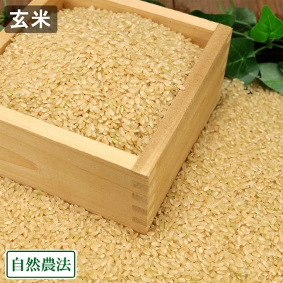 【令和7年度産】もち米(こがねもち) 玄米 10kg 自然農法 (山形県 佐藤農園) 産地直送