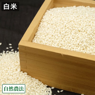 【令和7年度産】もち米(こがねもち) 白米 20kg 自然農法 (山形県 佐藤農園) 産地直送