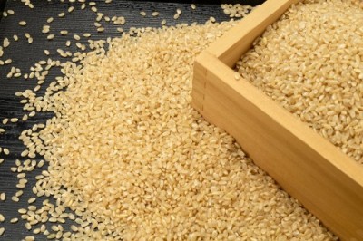 【令和7年度産】はるみ 玄米 10kg 自然農法 (徳島県 久米健文) 産地直送