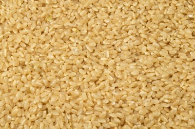【令和7年度産】はるみ 玄米 10kg 自然農法 (徳島県 久米健文) 産地直送