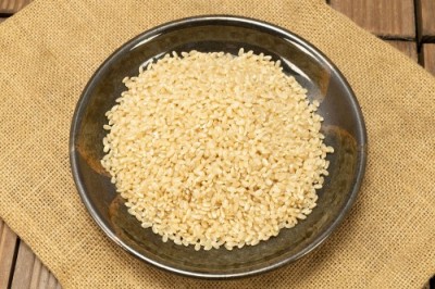 【令和4年度産】はるみ 玄米 20kg 自然農法 (徳島県 久米実) 産地直送