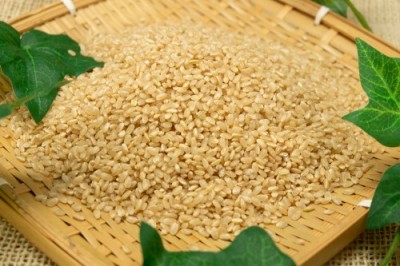 【令和7年度産】はるみ 玄米 10kg 自然農法 (徳島県 久米健文) 産地直送