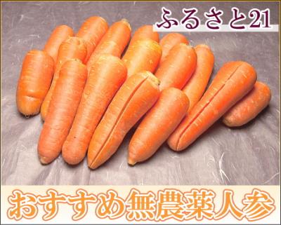 【訳あり】  にんじん 10kg箱 無農薬 (ふるさと21)