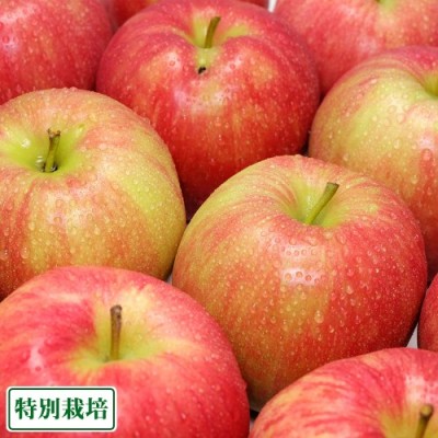 【訳あり】ジョナゴールド 10kg 特別栽培 (青森県 阿部農園) 産地直送