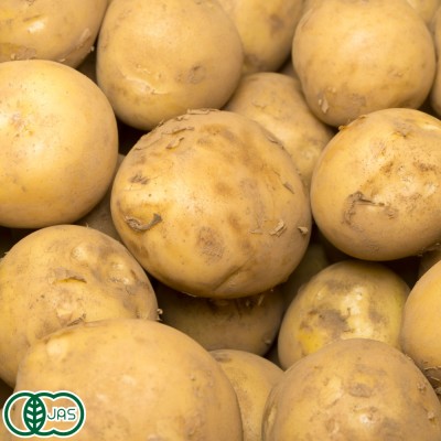 有機 じゃがいも (とうや)  10kg 有機JAS (北海道 渡辺農場) 産地直送