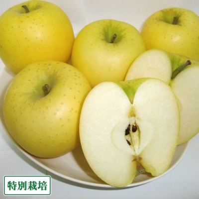 【予約・家庭用・小玉】 シナノゴールド 5kg箱 特別栽培 (青森県 田村りんご農園) 産地直送