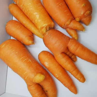 【クール便・訳あり】  にんじん 5kg箱 無農薬 (ふるさと21)