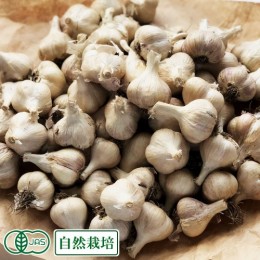 無農薬新鮮ニンニク5キロ 有機JAS］完熟にんにく(5kg)(北海道)農薬化学肥料不使用：北海道