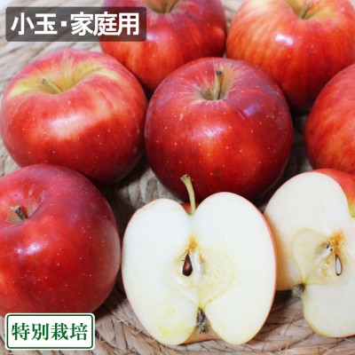 【家庭用・小玉】 紅玉 1.4k前後 特別栽培 (森谷果樹園) 産地直送