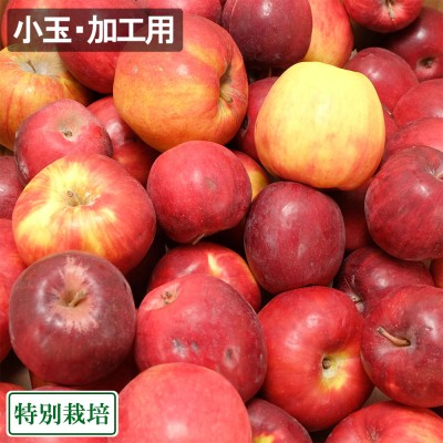 【加工用・小玉】 紅玉 2k前後 特別栽培 (森谷果樹園) 産地直送