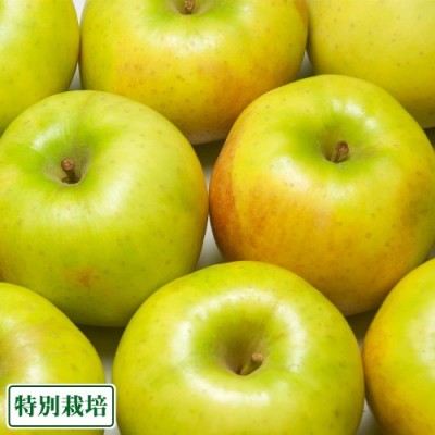 【家庭用】青林 5kg箱 特別栽培 (青森県 田村りんご農園) りんご 産地直送