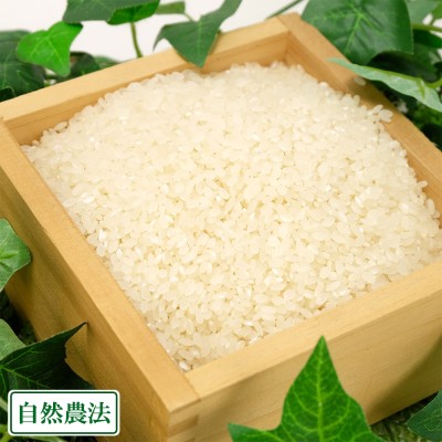 【令和4年度産米】つがるロマン 精米 10kg 自然農法 (青森県 谷川幸雄) 産地直送