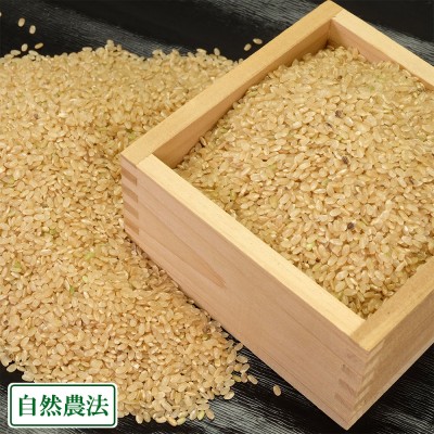 【令和4年度産米】 つがるロマン 玄米 5kg 自然農法 (青森県 谷川幸雄) 産地直送