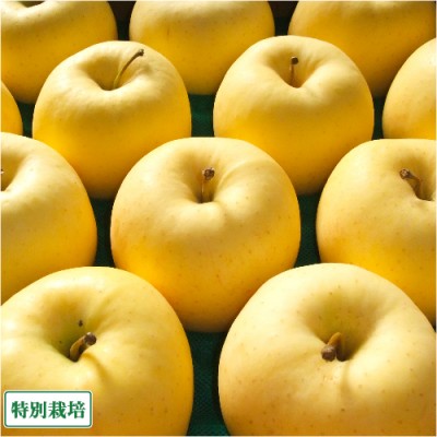 りんご 金星 秀品 5kg箱 特別栽培 (青森県 阿部農園) 産地直送