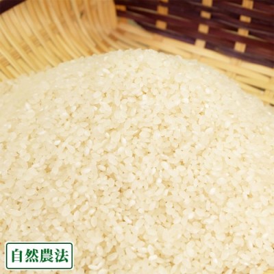 【令和4年度産】山崎さんのお米 白米/七分/玄米 10kg 自然農法 (岡山県 山崎農園) 産地直送