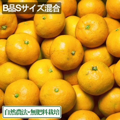 【B品・S以上サイズ混合】 温州みかん 5kg 自然農法 無施肥栽培 (愛媛県 風車の町佐田岬の会) 産地直送