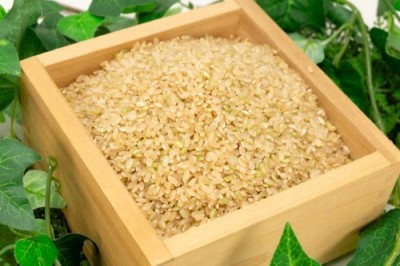 【令和3年度産】有機米 ササニシキ 玄米 5kg 有機JAS 自然農法 (宮城県 仙台たんの農園) 産地直送